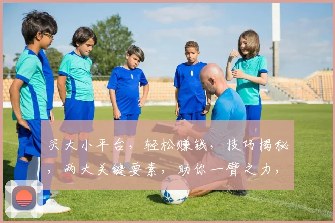 买大小平台，轻松赚钱，技巧揭秘，两大关键要素，助你一臂之力，稳定盈利