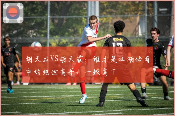 胡天龙VS胡天霸，谁才是江湖传奇中的绝世高手，一较高下