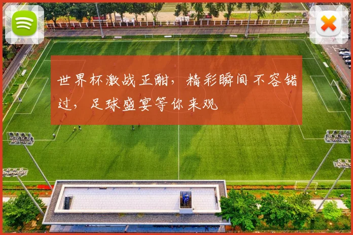 世界杯激战正酣，精彩瞬间不容错过，足球盛宴等你来观