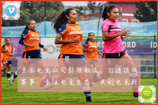 京东电竞公司引领潮流，打造顶级赛事，专注电竞生态，共创电竞新纪元，赋能电竞产业