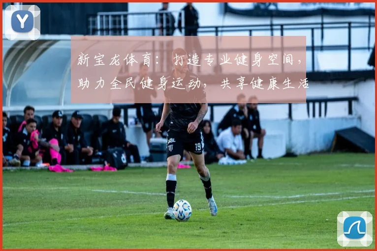 新宝龙体育：打造专业健身空间，助力全民健身运动，共享健康生活体验，引领健康潮流