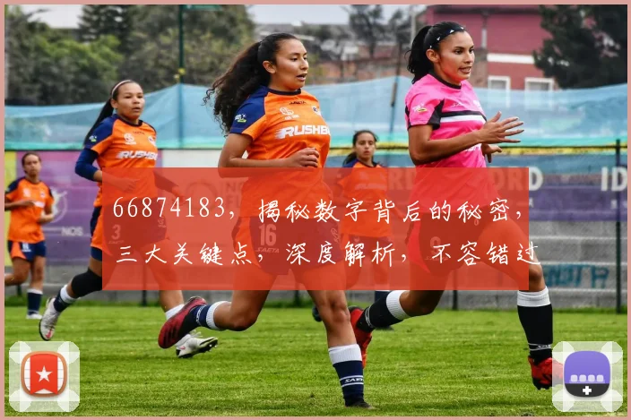 66874183，揭秘数字背后的秘密，三大关键点，深度解析，不容错过