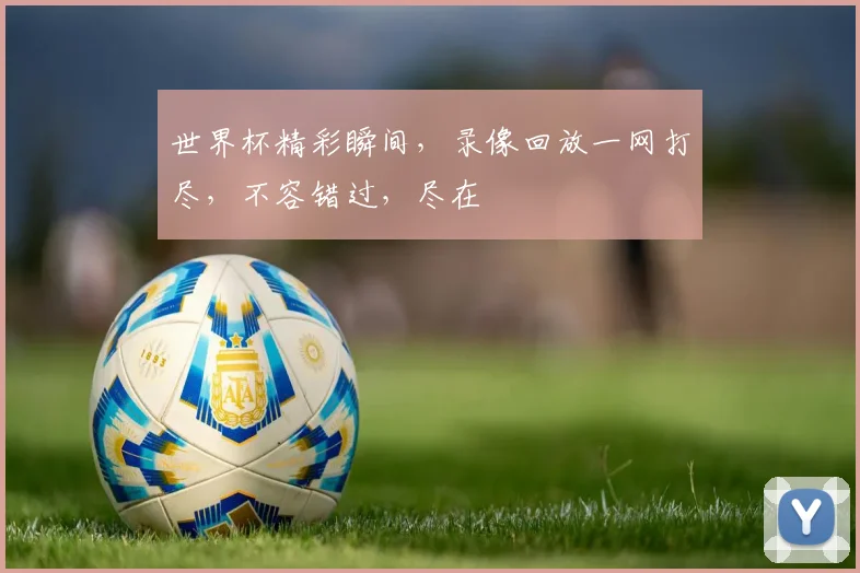 世界杯精彩瞬间，录像回放一网打尽，不容错过，尽在